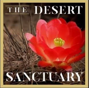 The Desert Sanctuary